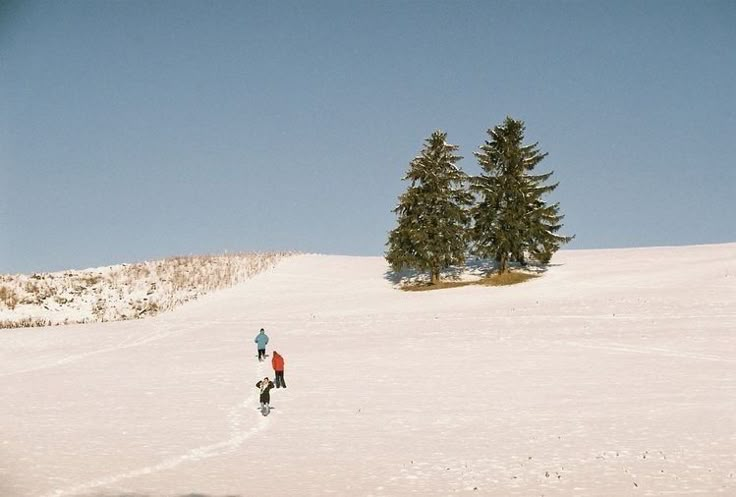 two people walking in the snow near trees