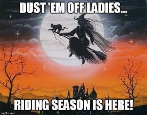 an image of a witch flying in the sky with her cat on her broom and caption that reads, dust'em off ladies riding season is here