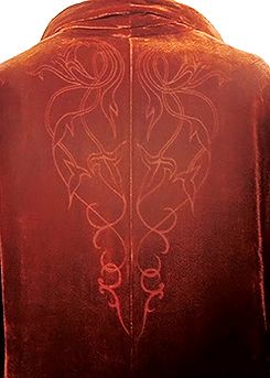 the back of a red velvet jacket with an intricate design on it's chest