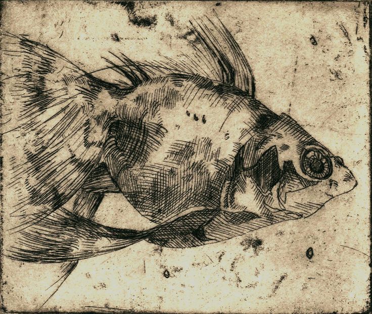 a black and white drawing of a fish