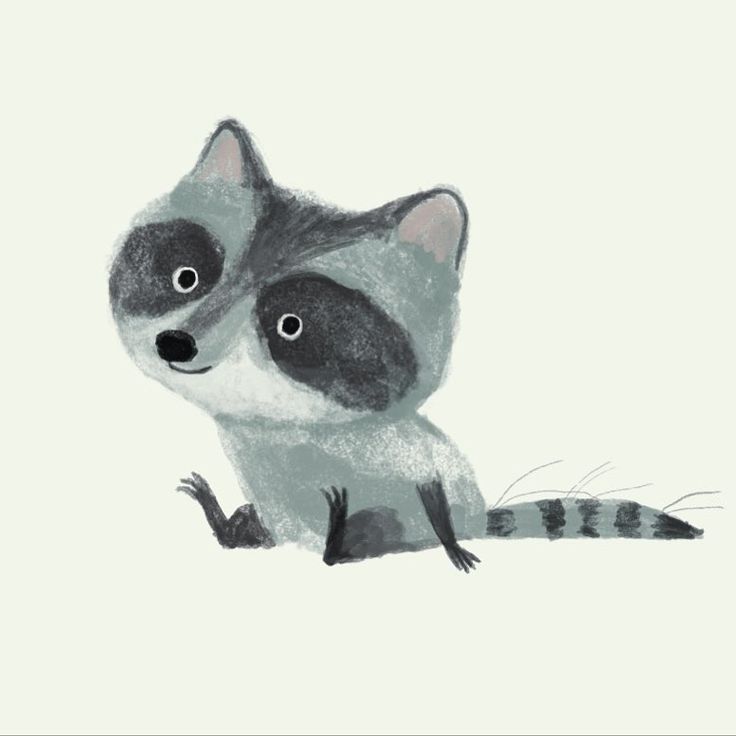 a drawing of a raccoon on a white background