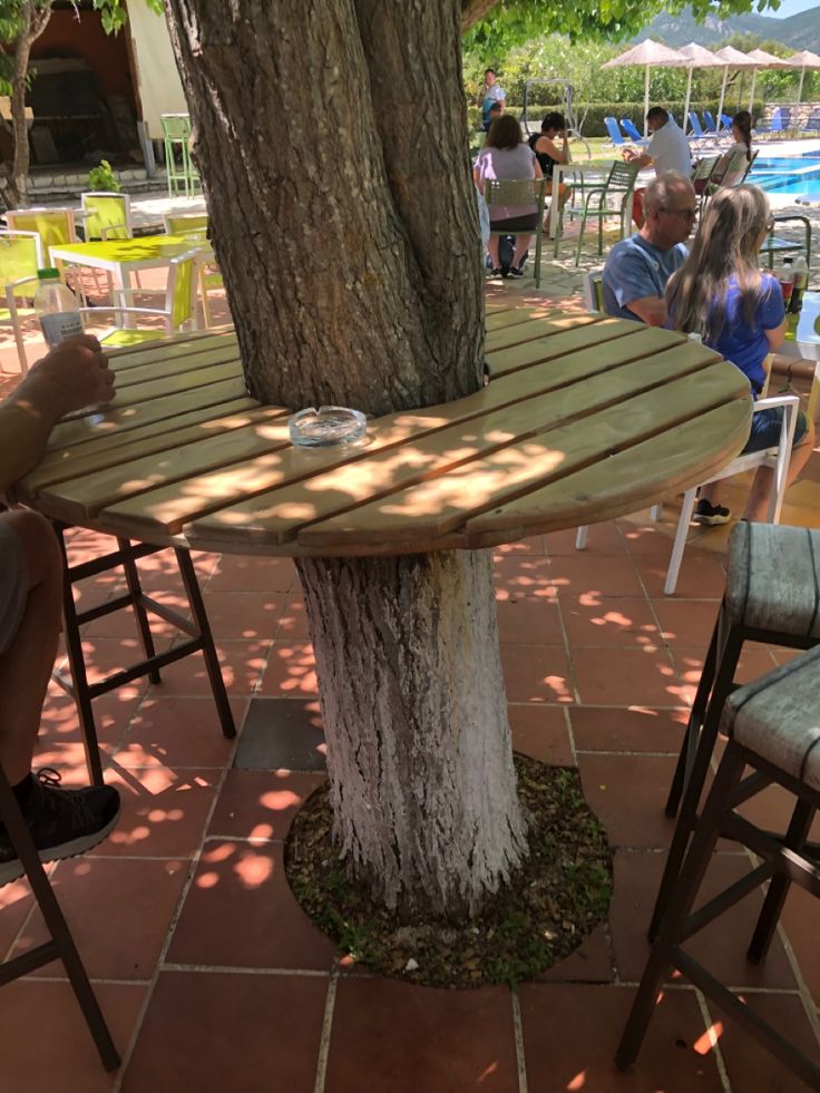 a table and chairs under a tree with people sitting around it