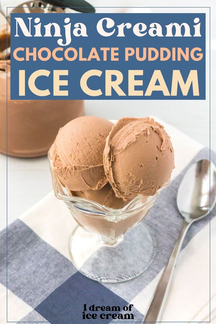 an ice cream dish with chocolate pudding in it