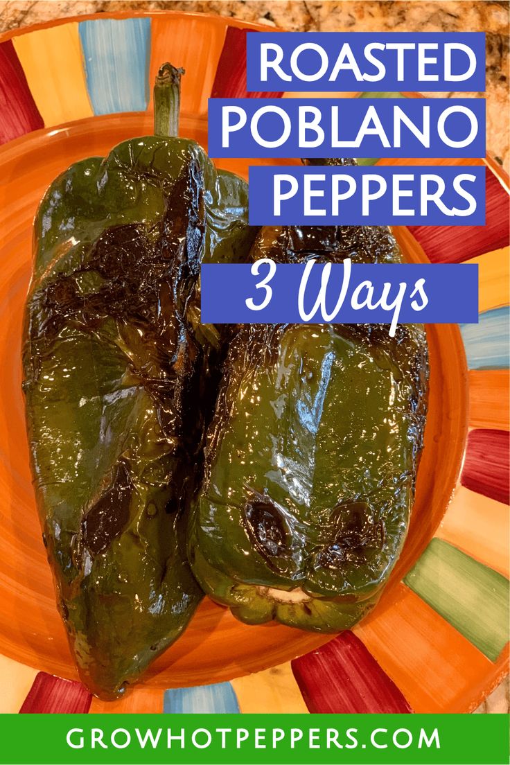 two green peppers on an orange plate with the words roasted poblano peppers 3 ways