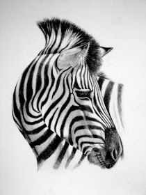 a black and white drawing of a zebra