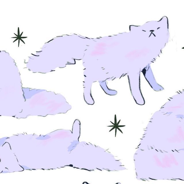 an image of cats laying down on the ground with stars in the sky above them