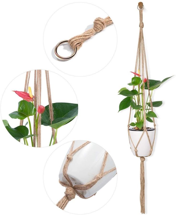 three different types of plant hangers with plants in them