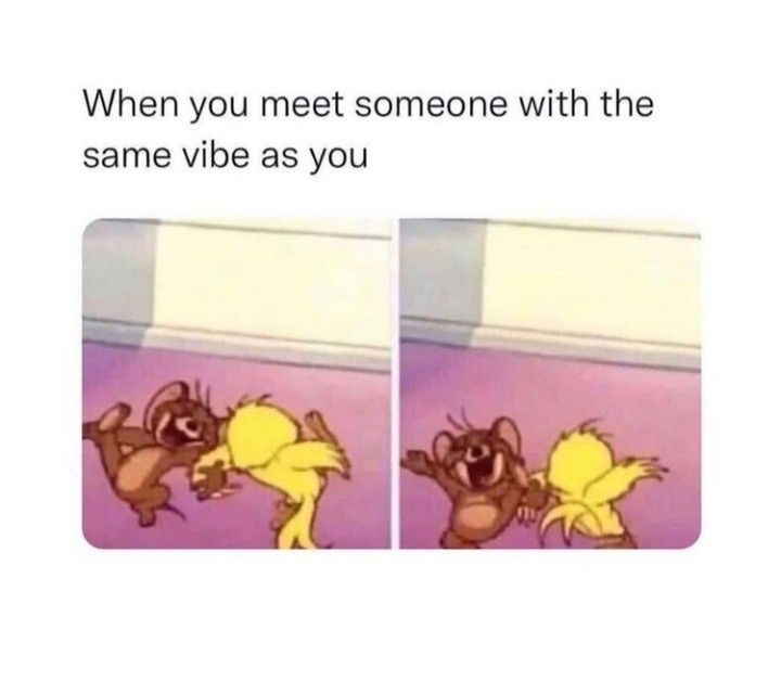 two cartoon images with one saying when you meet someone with the same vibe as you