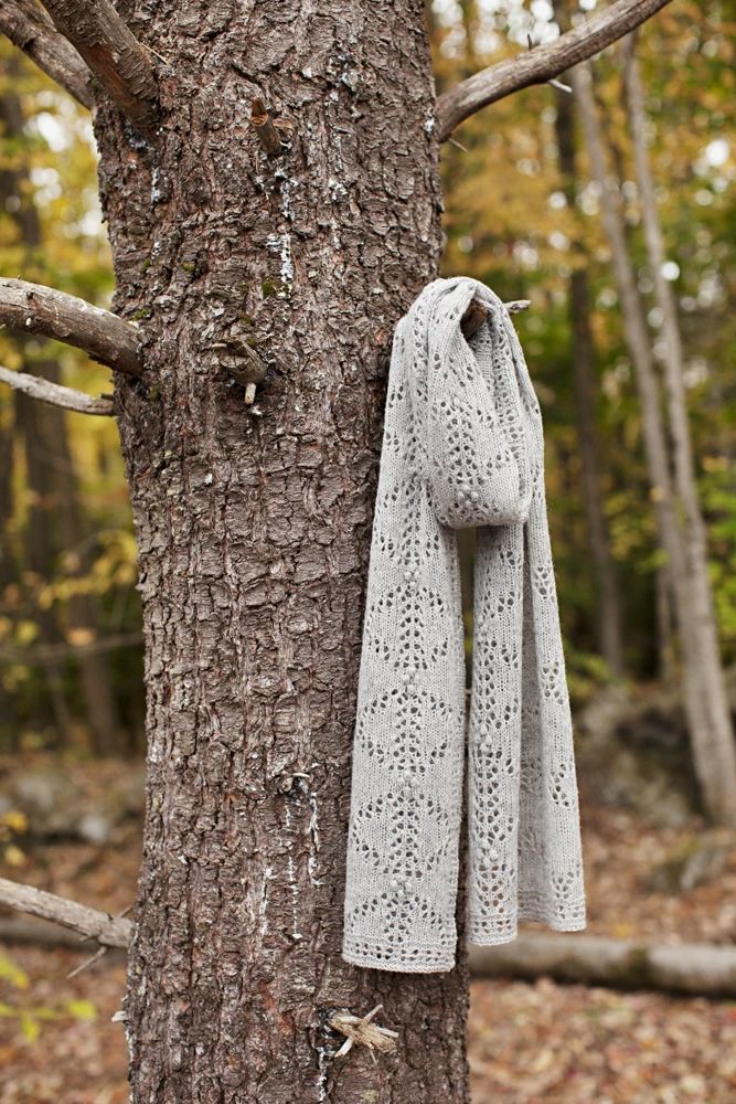 a scarf hanging on a tree in the woods