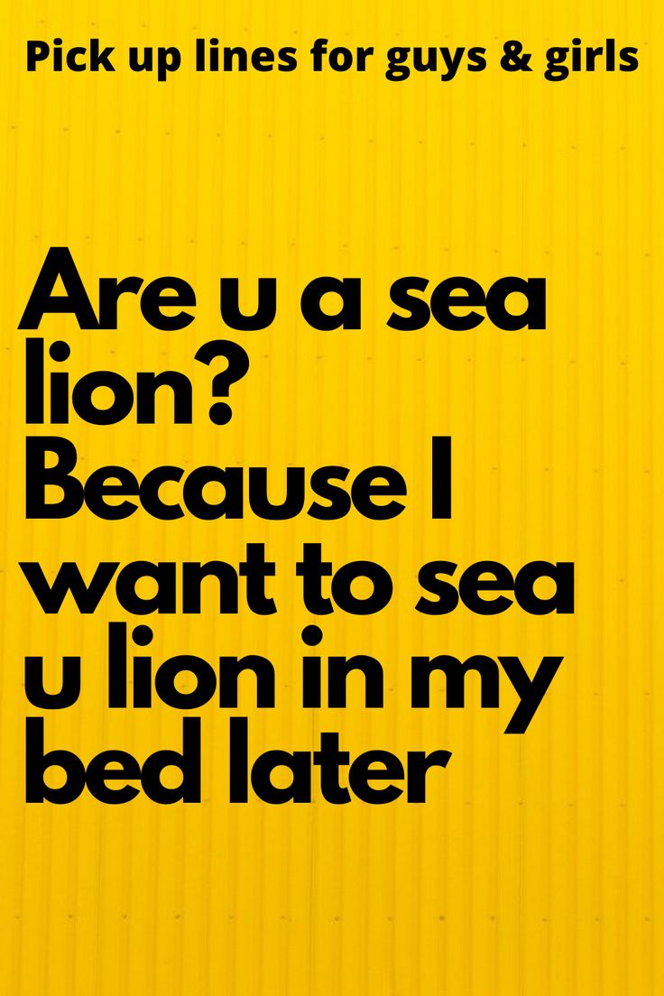 a yellow background with black text that says, are u a sea lion? because i want to see a lion in my bed later