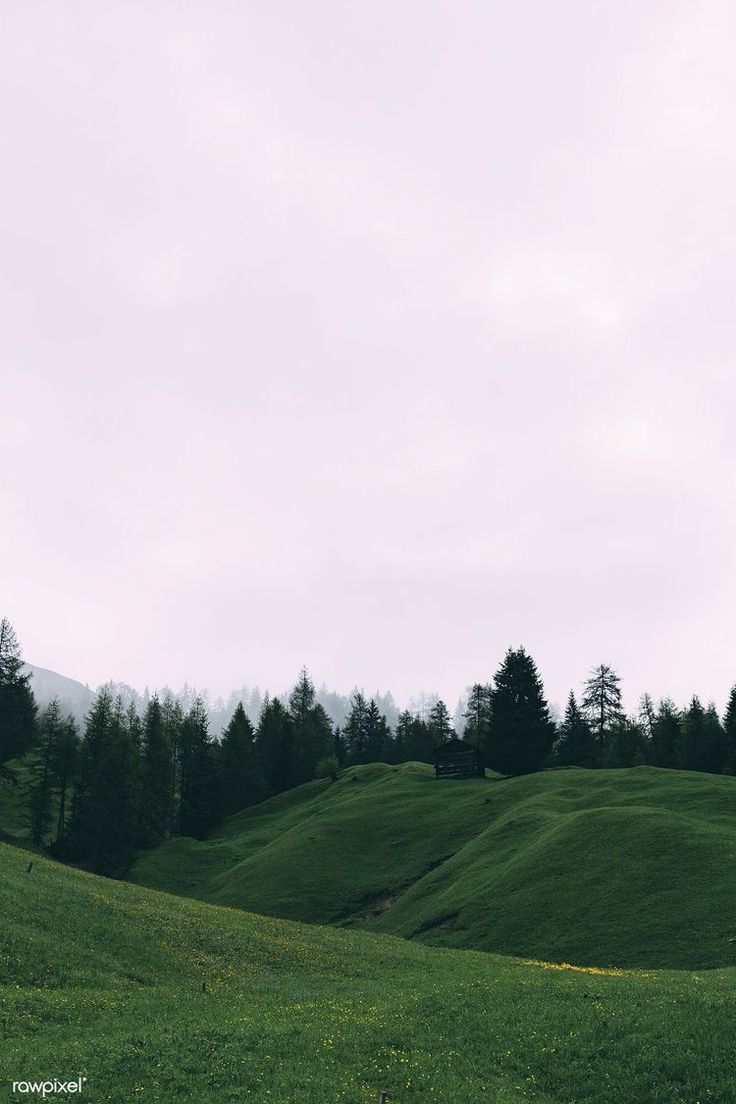 a grassy hill with trees in the background