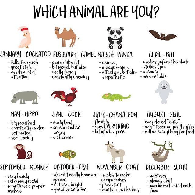 an animal chart with different types of animals and their names in english, spanish, and german