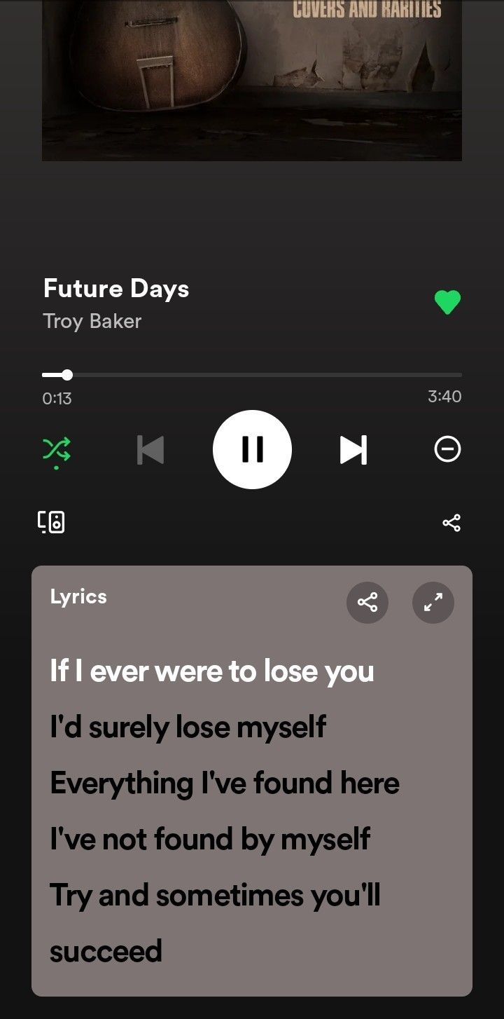 an iphone screen with the text'if i ever were to lose you '