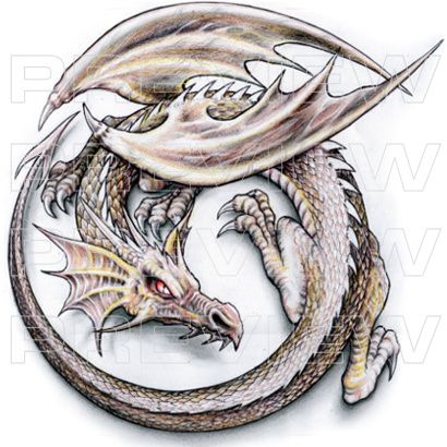 a drawing of a dragon in the shape of a circle with its wings spread out