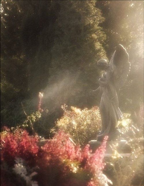 an angel statue in the middle of a garden with red and white flowers around it