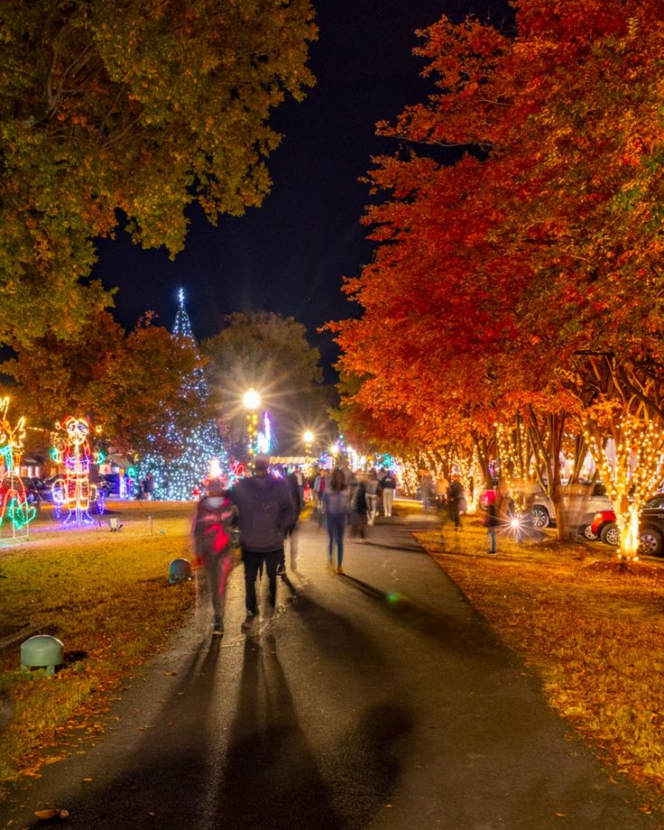 people walking down a path in the middle of a park with christmas lights on it