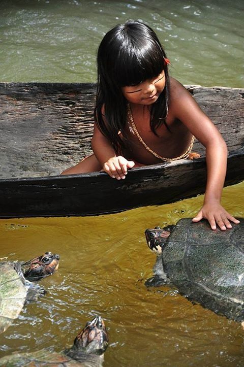 Rainforest People, Amazon Rainforest, A Turtle, Palawan, Jolie Photo, People Of The World, World Cultures, 인물 사진, Sioux