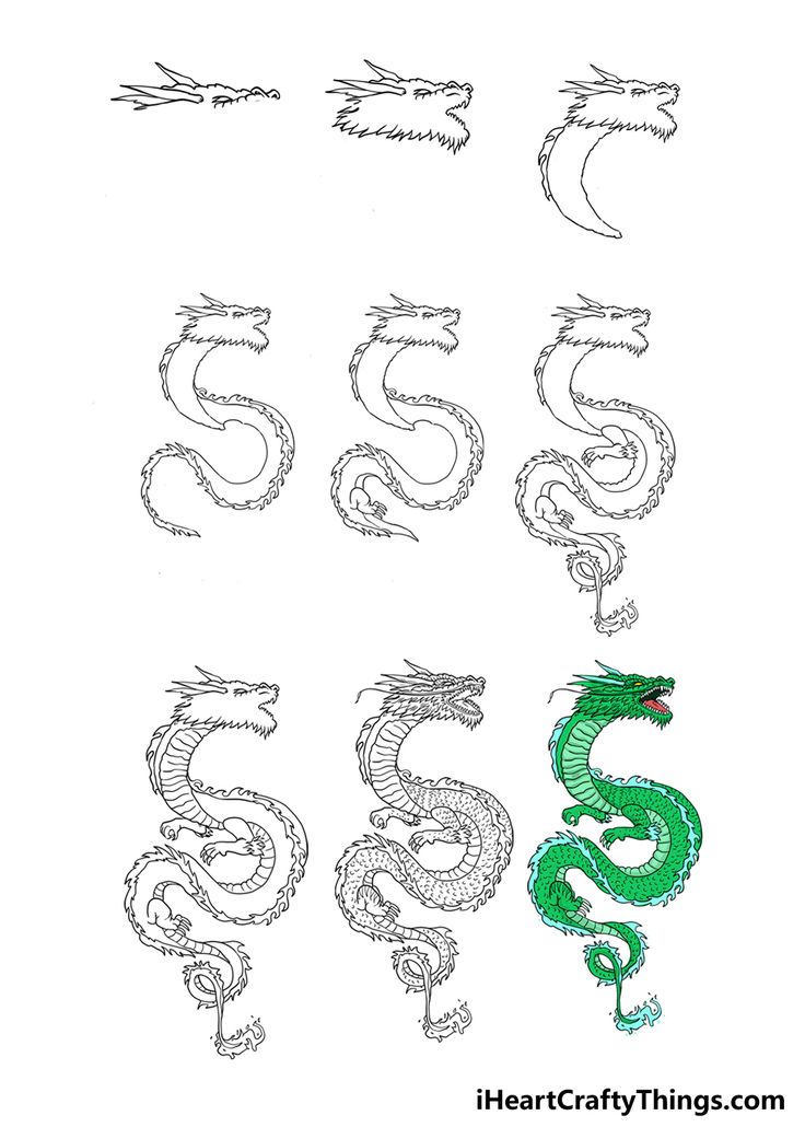 the letter s is made up of different types of dragon heads and tailes, all in