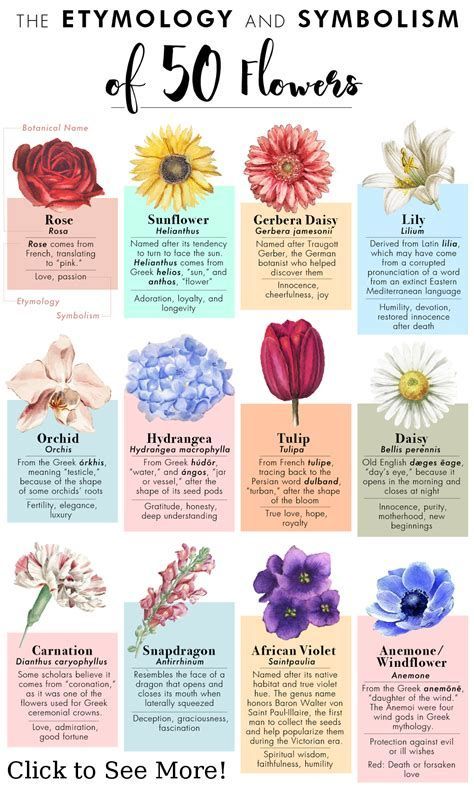 Flower Symbolism Chart for Jennieperez Flower Meanings Chart Tattoo, Flower Meanings Chart, Red Flower Names, All Flowers Name, Pretty Flower Names, Symbol Tattoos With Meaning, Tulips Meaning, Gerbera Jamesonii, Flower Symbolism