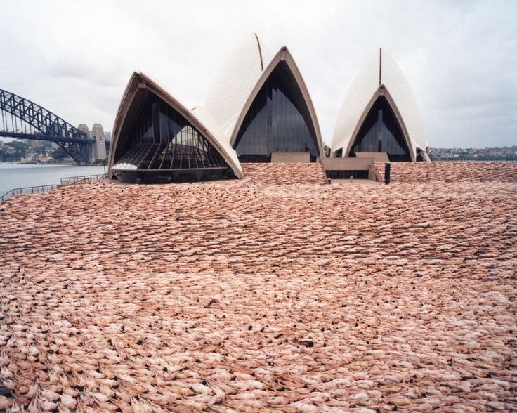 an image of the sydney opera house in australia