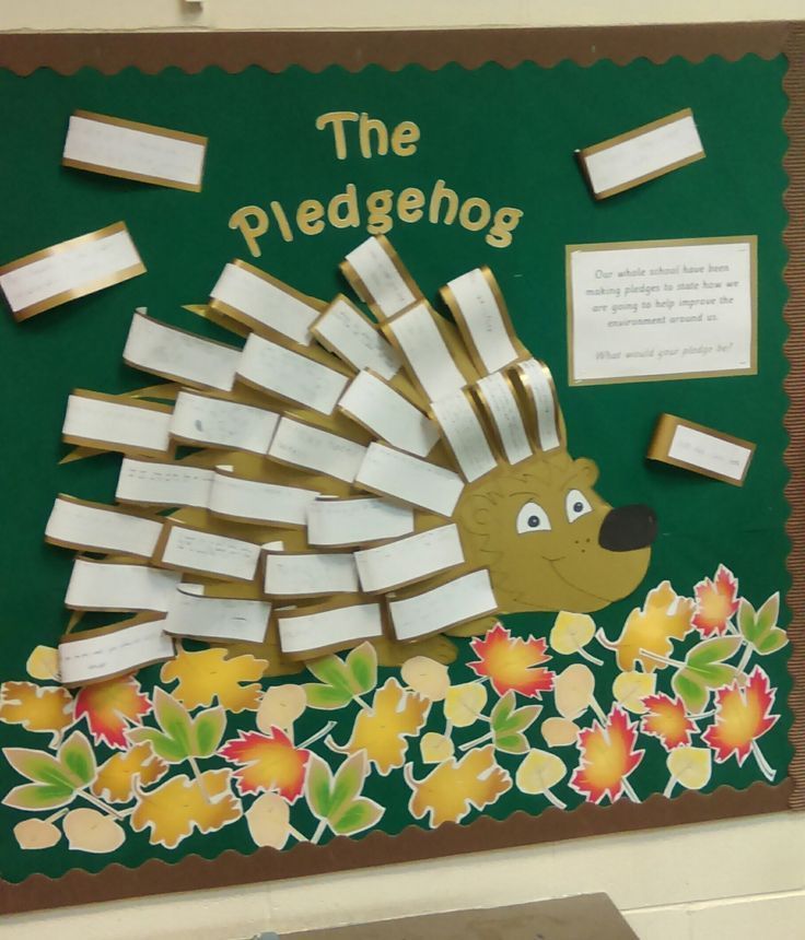 a bulletin board with paper taped to it and a hedge on the front that says the pedgehog