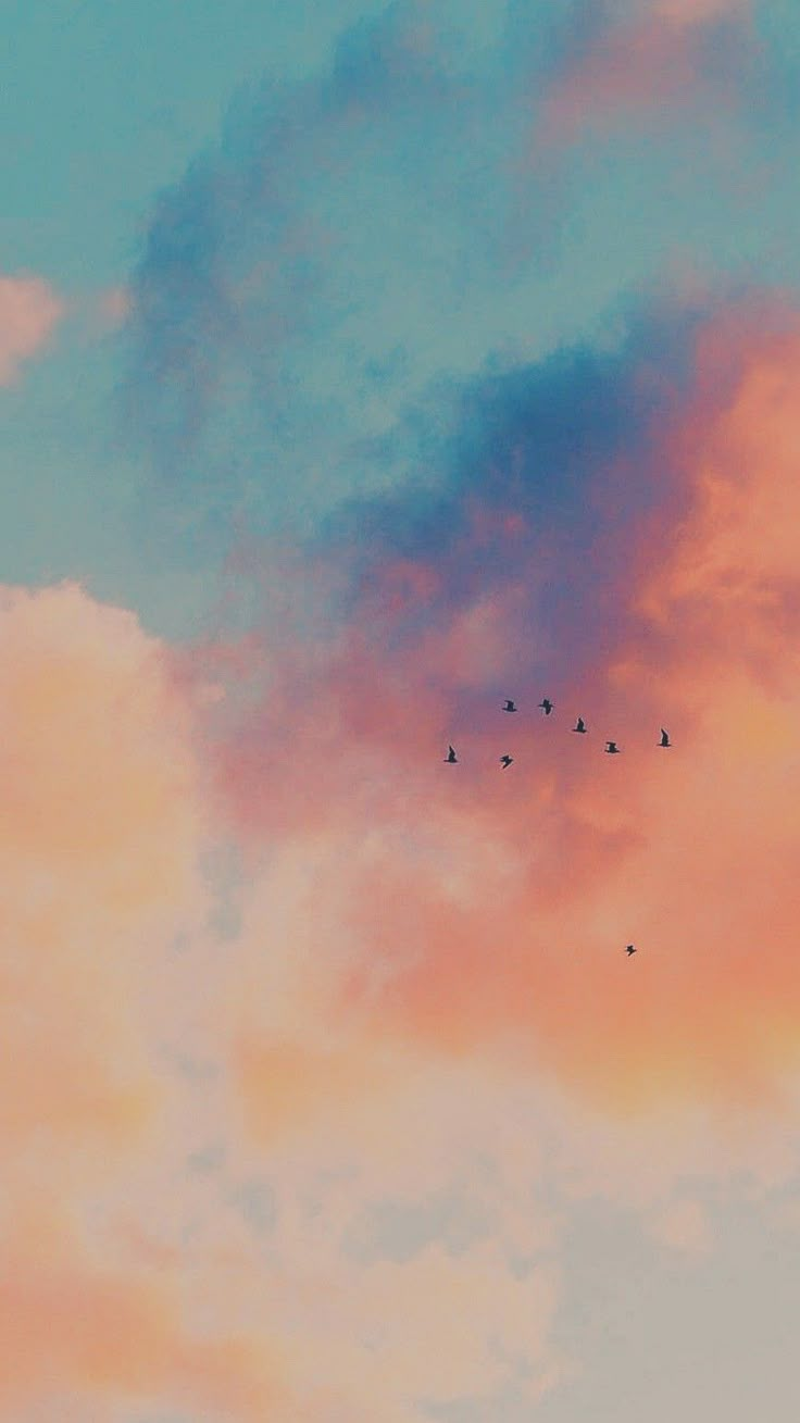 birds are flying in the sky at sunset or dawn, with pink and blue clouds