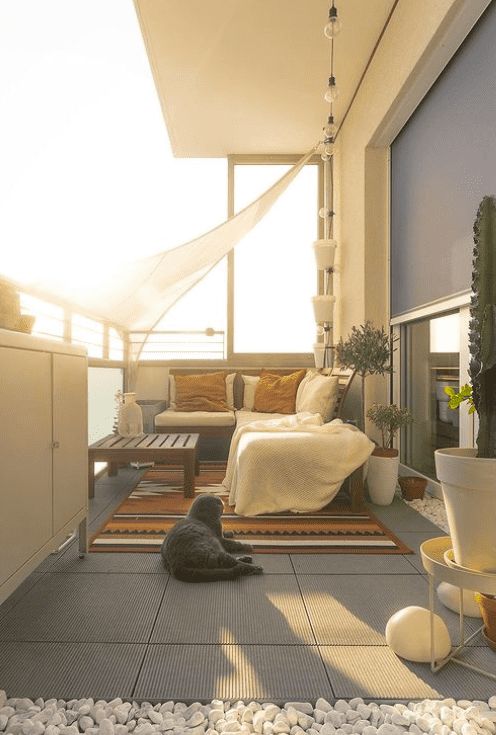 a cat is sitting on the floor in front of a bed and patio with plants