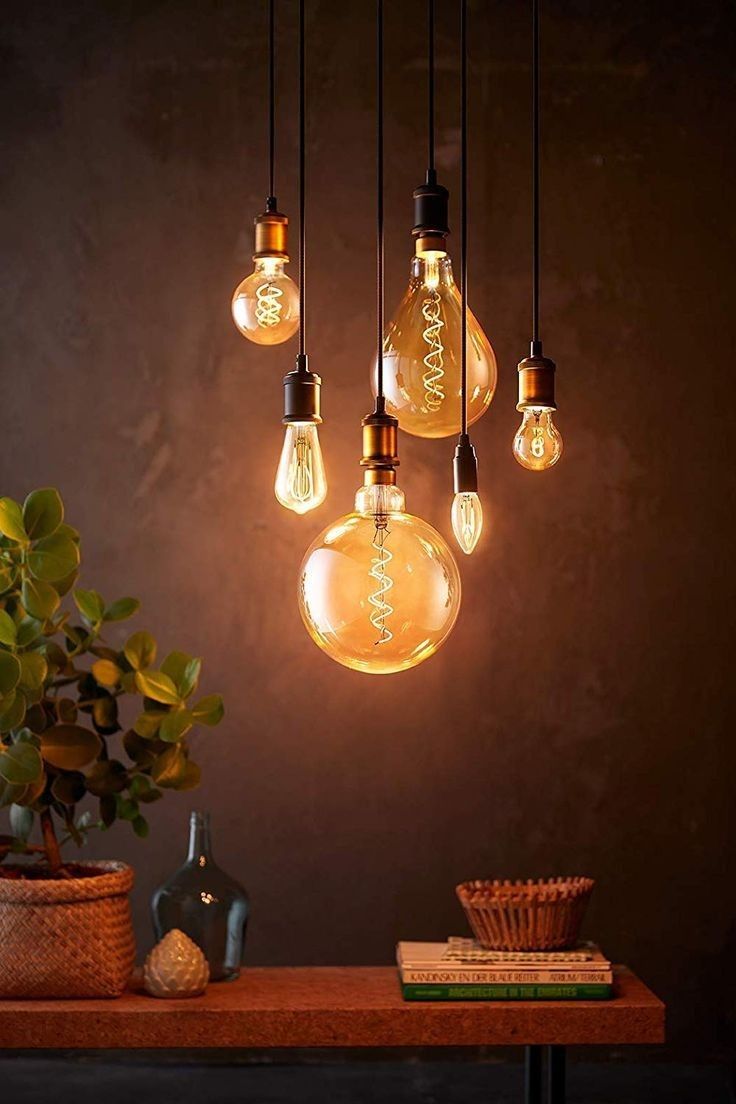 an assortment of light bulbs hanging from the ceiling above a table with a potted plant