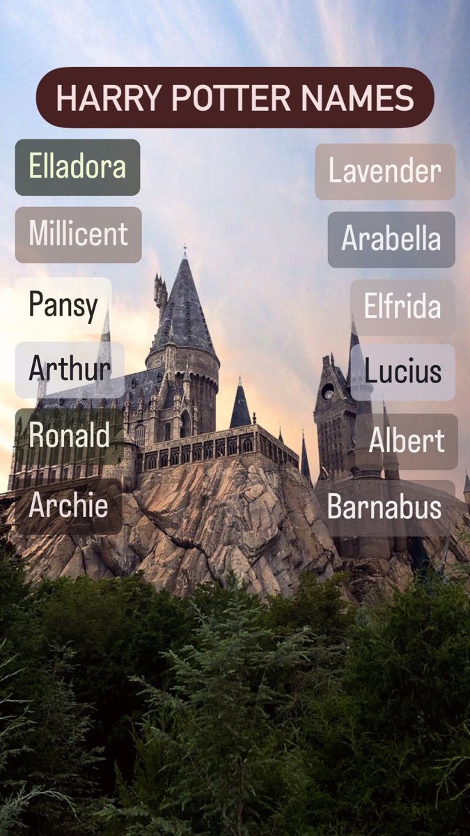 harry potter names on the top of hogwarts castle