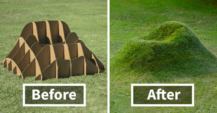 before and after photos of lawn mowed with grass in the shape of an animal's head