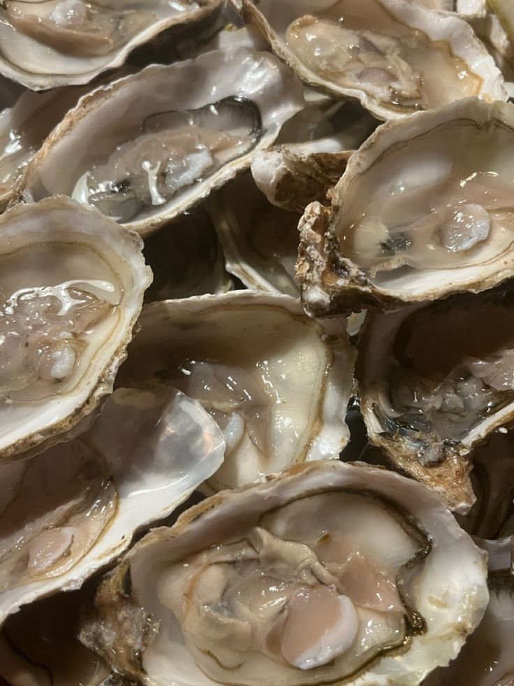 several oysters on the half shell are being prepared to be eaten