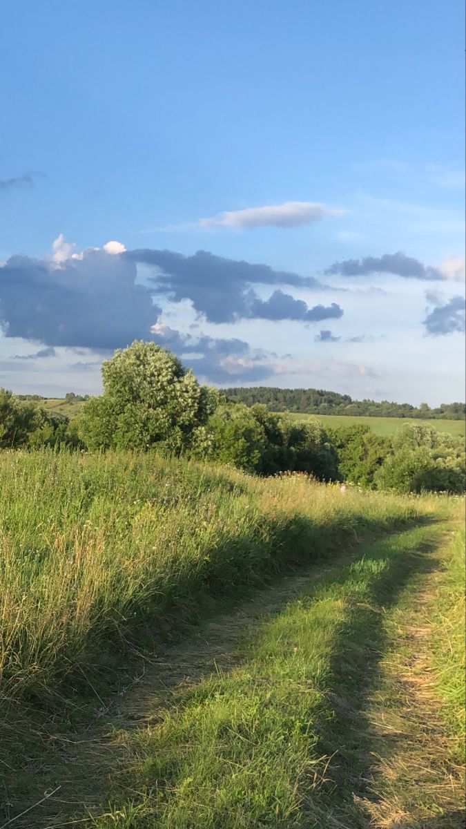 an empty dirt road in the middle of a grassy field