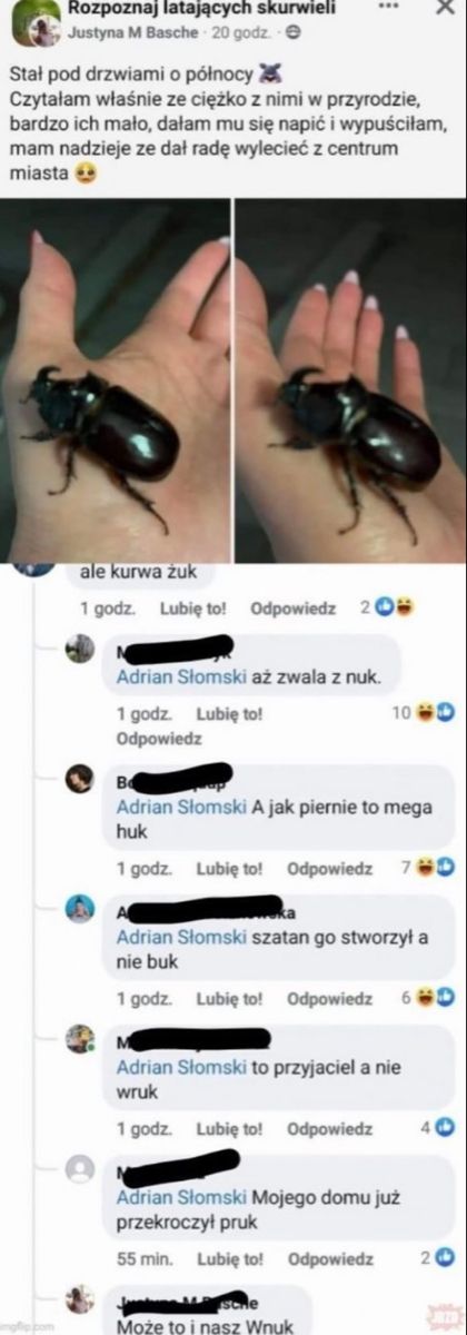 two pictures of the same insect on someone's hand, one is black and one is brown