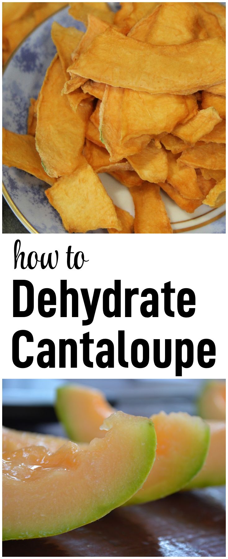 how to dehydrate cantaloupe with this easy recipe