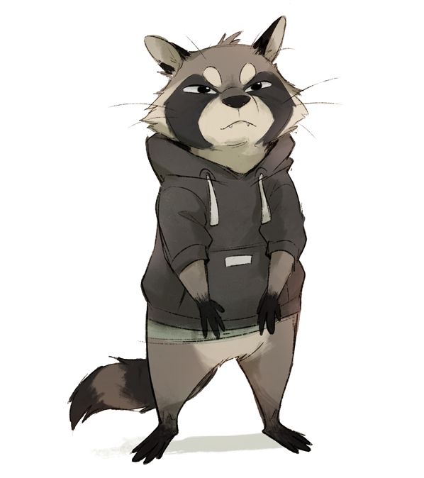 a raccoon in a hoodie standing on one leg and looking at the camera