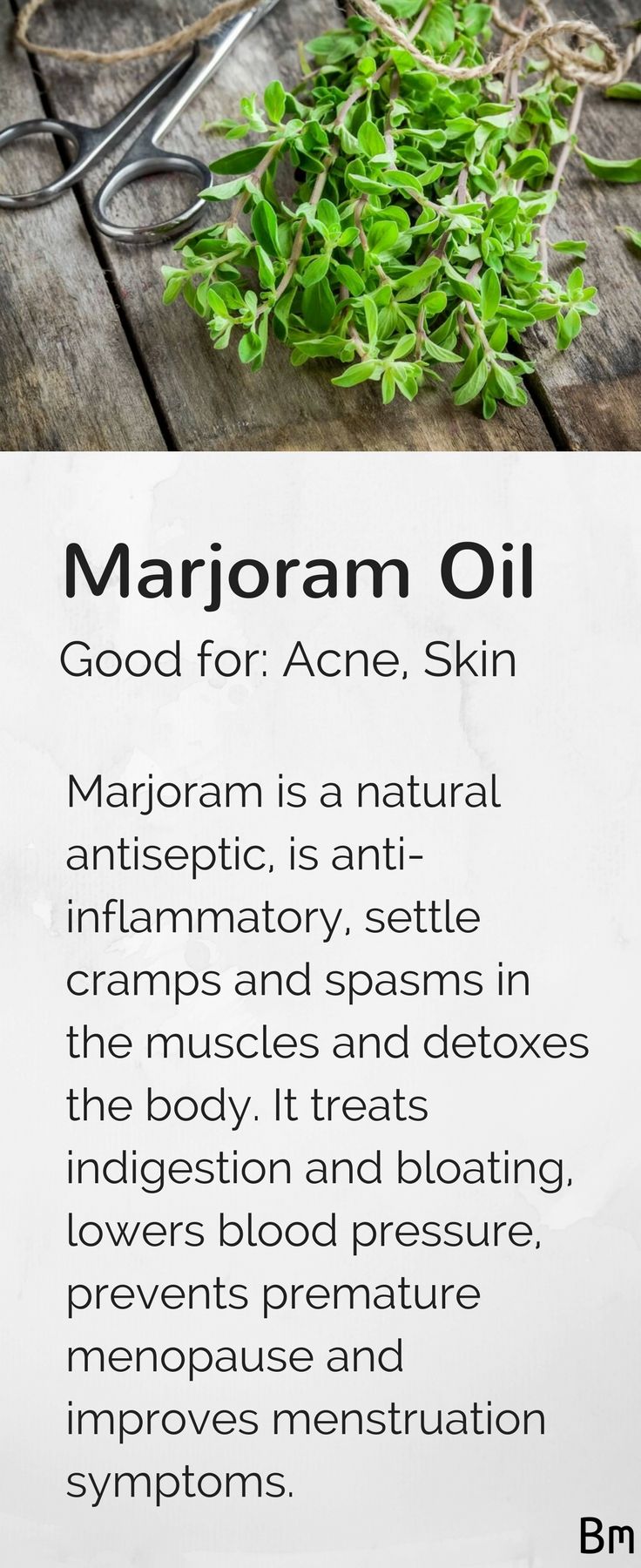 Marjoram essential oil is a natural antiseptic, is anti-inflammatory, it settles cramps and spasms, and detoxes the body. When you moisturise your body with a lotion after showering, try adding a drop of marjoram to improve the condition of your skin. Learn more about marjoram and other essential oils in this complete guide! Just click on the pin above :D Marjoram Essential Oil, Making Essential Oils, Essential Oils Guide, Aromatherapy Blends, Natural Health Care, Clearer Skin, Raw Cacao, Ginkgo Biloba, Marjoram