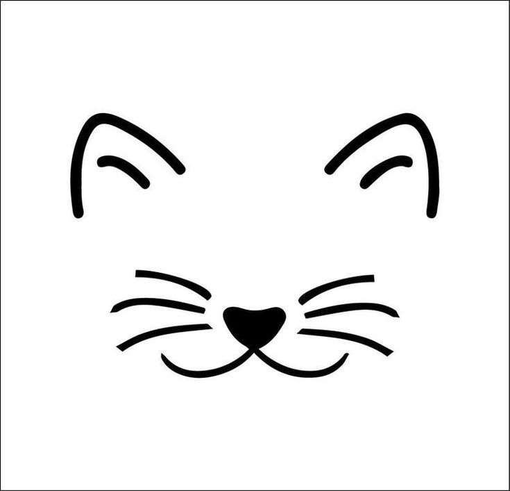 a black and white cat's face with its eyes wide open on a white background