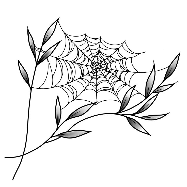 a black and white drawing of a spider's web on a leafy branch