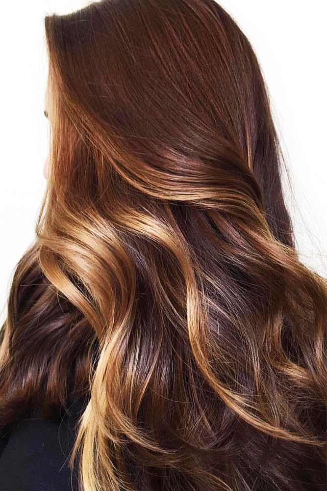 Hair Color Brown Chestnut, Brown Ombre Hair Color, Dark Ombre Hair, Warm Brown Hair, Chestnut Brown Hair, Chestnut Hair, Golden Blonde Highlights, Brown Ombre Hair, Chestnut Hair Color