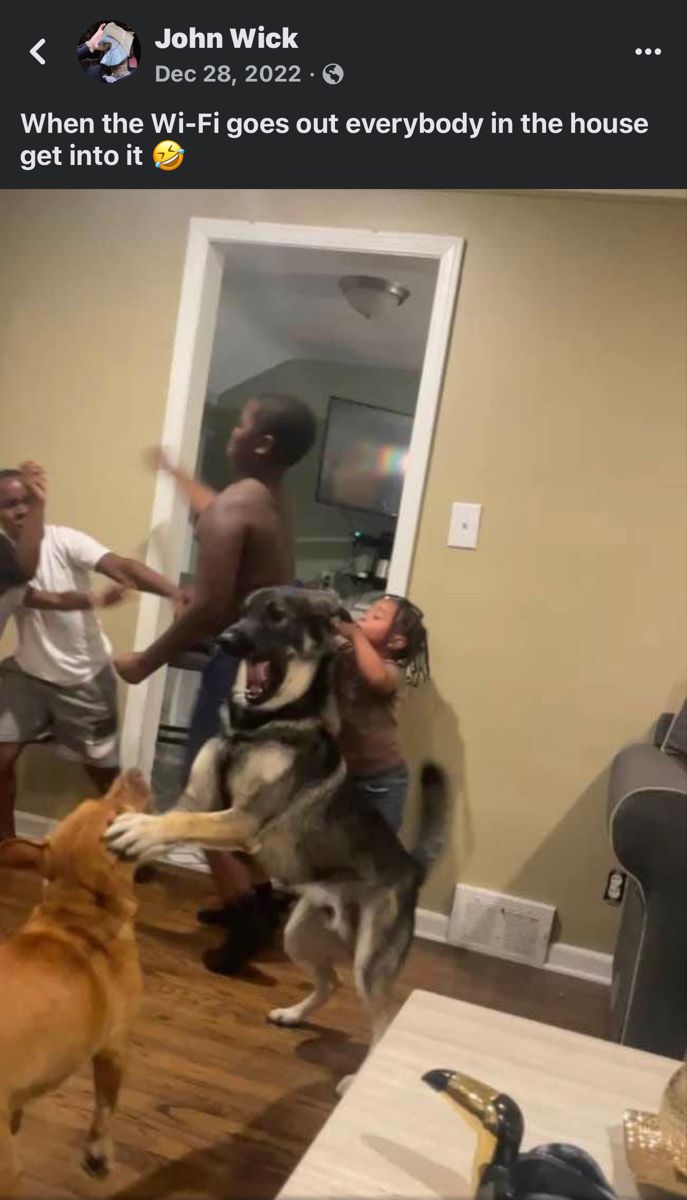 a group of people and two dogs playing with each other in a living room together