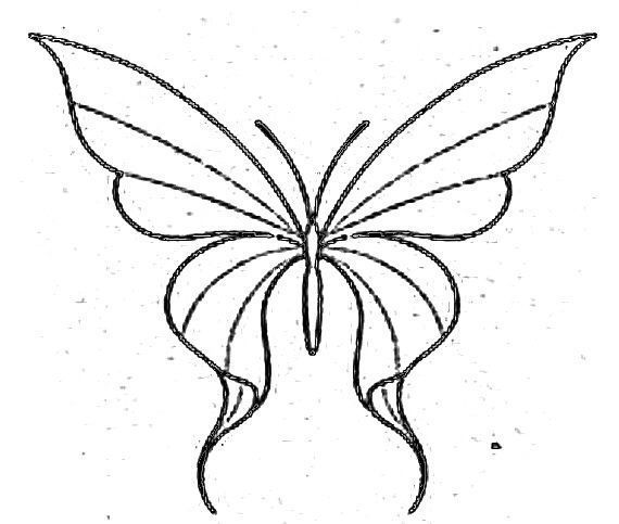 a drawing of a butterfly with long wings