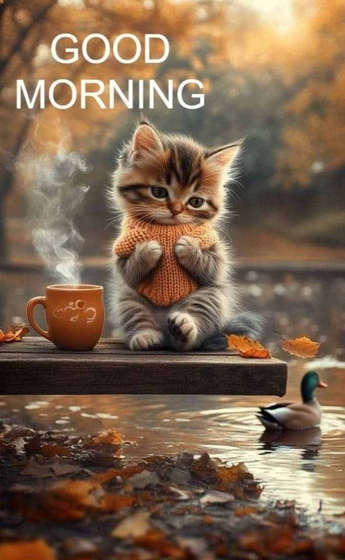 a kitten is sitting on a table with a coffee cup in front of it and the caption reads, good morning