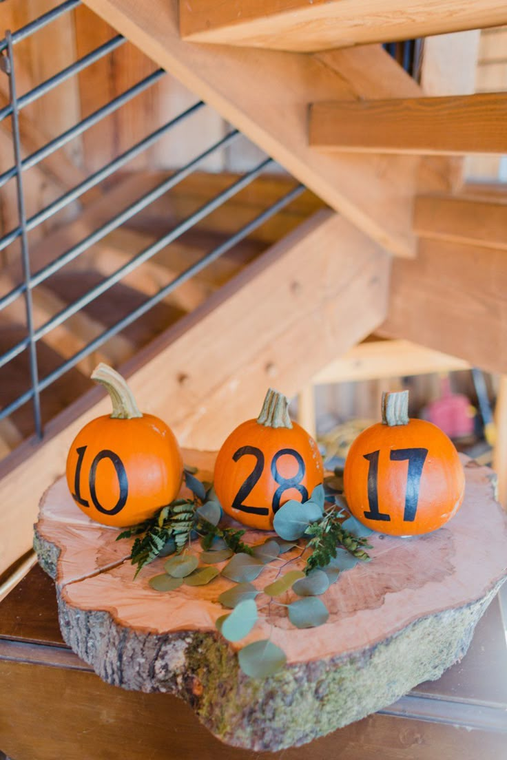 three pumpkins sitting on top of a tree stump with the numbers twenty and two