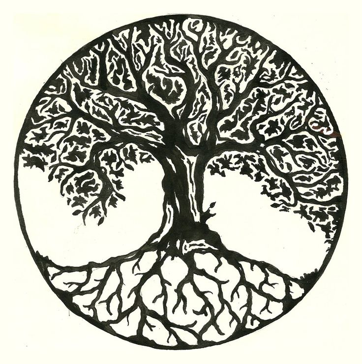 a black and white drawing of a tree with its roots in the shape of a circle