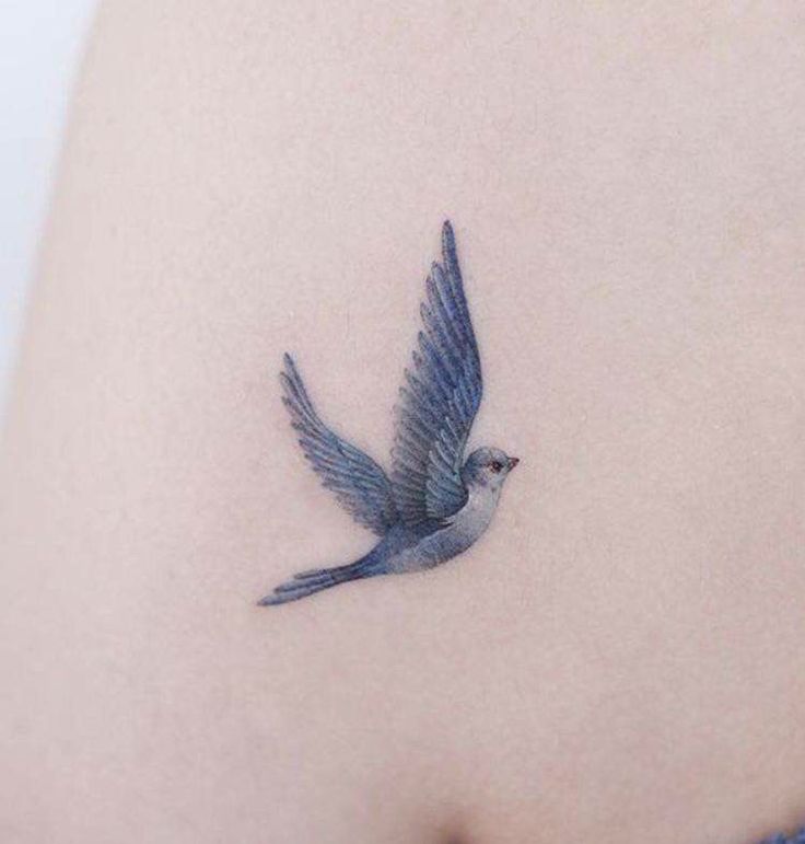 Disney Blue Bird Tattoo, Red And Blue Bird Tattoo, Watercolor Bird Tattoos For Women, Tiny Blue Jay Tattoo, Single Needle Bird Tattoo, Fine Line Blue Jay Tattoo, Small Blue Bird Tattoos For Women, Bluebird Tattoo Small Simple, Tiny Blue Bird Tattoo