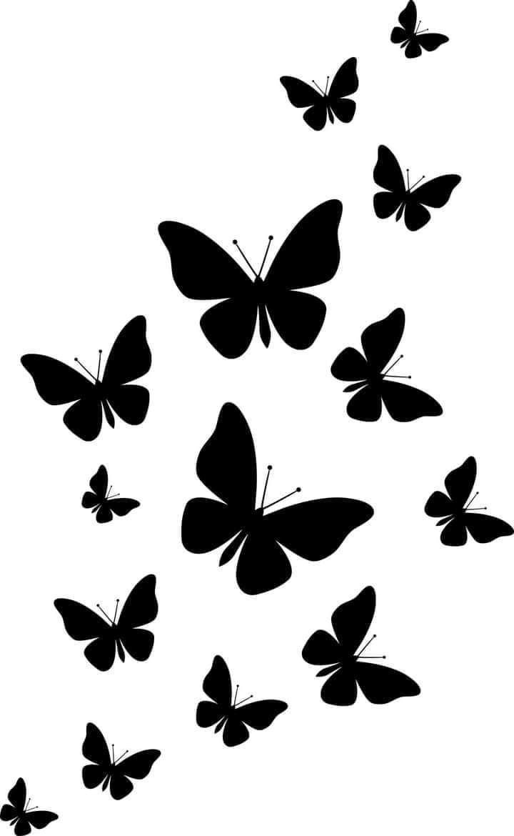 black and white butterflies flying in the air