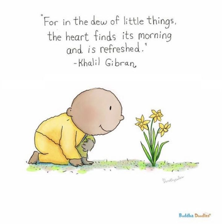 a little boy kneeling down next to a flower with a quote on it that says for in the dew of little things, the heart finds its morning and is refreshhade