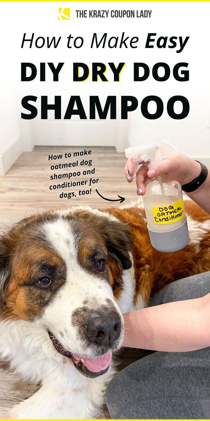 how to make easy diy dry dog shampoo