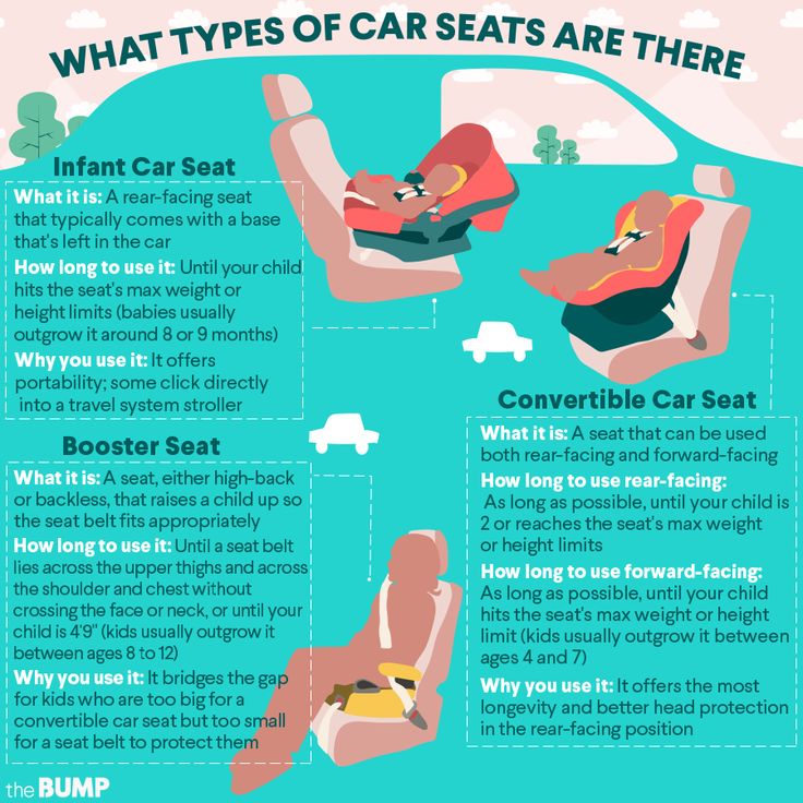 what types of seats are there in the car? infographical poster for kids