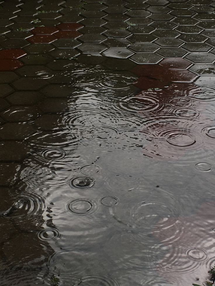 a red umbrella sitting on top of a puddle covered street next to a brick sidewalk